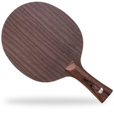 Stiga Destiny Carbon