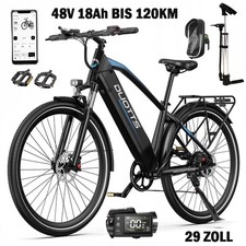 DUOTTS C29MAX ebike 29 Zoll