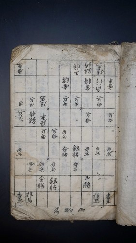 Rare shogi guide shōgi - rare, guide"