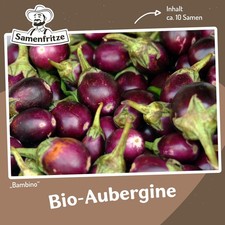 Bio-Aubergine Bambino 10 Samen - ertragreiche Sorte mit dunkelvioletten Früchten