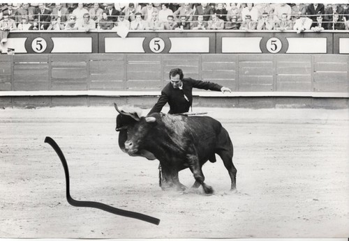 30x20 vintage archiv foto - 30x20,