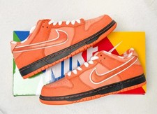 Nike SB Dunk Low Concepts