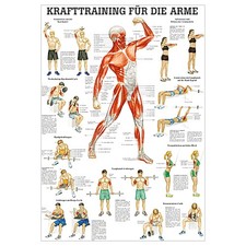 Mini-Poster "Krafttraining