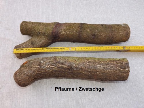 Stammholz pflaume zwetschge - stammholz,