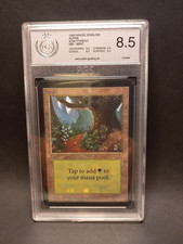 Magic Alpha MTG Forest Wald