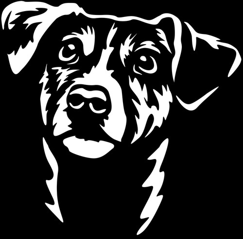 Jack russell terrier aufkleber - jack,