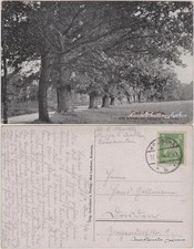 Ansichtskarte Kreischa Alte Eichen am Eingang des Ortes 1926