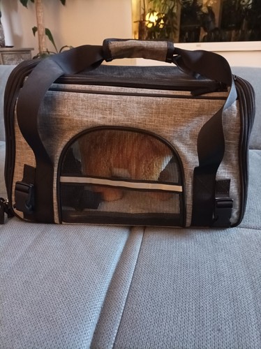 Transportbox kleine tiere - transportbox,