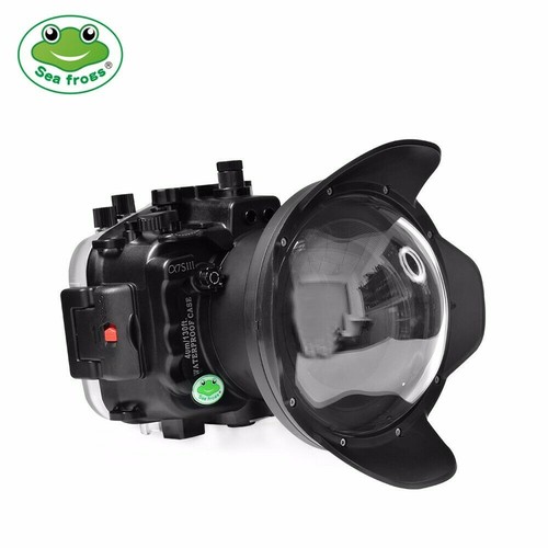 Seafrogs 40m 130ft - seafrogs, 40m/130ft