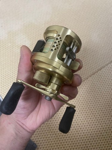 Shimano calcutta conquest - calcutta,