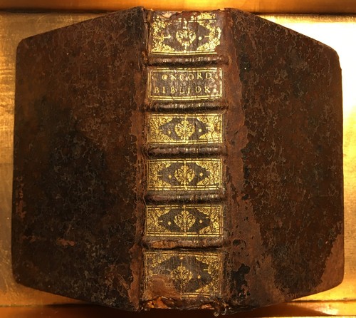 Bibel 1656 concordantiae - bibel,