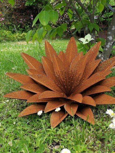 Edelrost blume erika - edelrost,