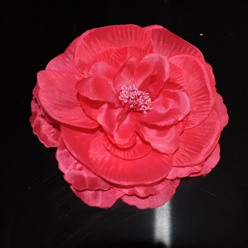 Pfingstrose rosa pink - pfingstrose, blume