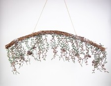 Pinienbogen 80cm x 22cm in