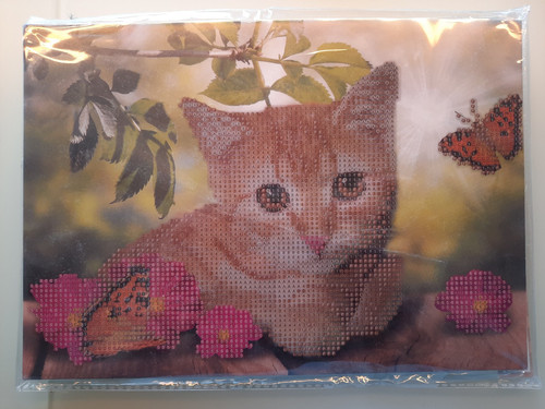 Diamond paiting set katze - paiting,