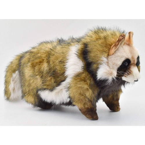 Canal bh7256 hansa - canal, marderhund