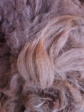 100g Alpaka-Spinnwolle in