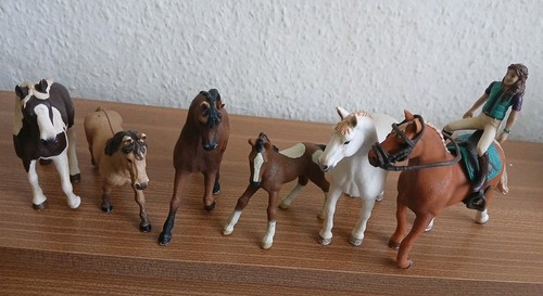 Konvolut pony reiter fohlen - reiter,