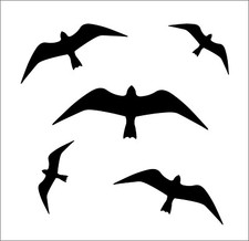 Vogelschutzaufkleber