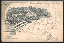 Lithographie Limmer / Hannover, Gasthaus Limmerbrunnen Aug. Herbst 1897 