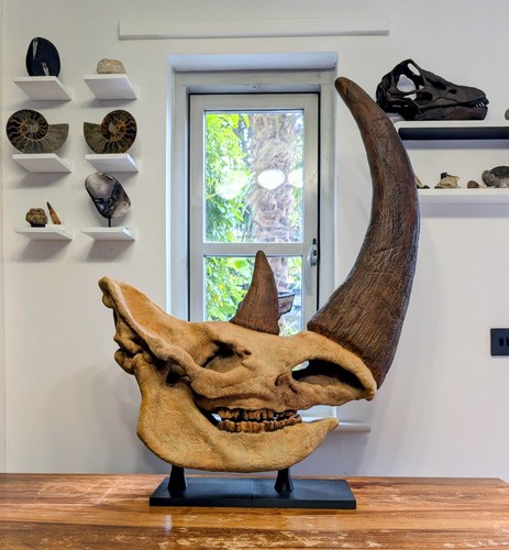 Riesiger wollnashorn - riesiger,