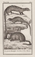 Orig. Kupferstich: La grnade