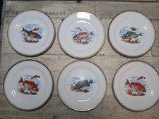 Schirnding Bavaria Exzellente 6er Set Fische Motiv Teller W. Germany Goldrand