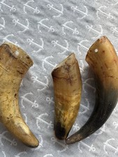 3 sehr alte antike Kuhhörner