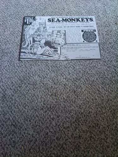 Sea monkeys werbedruck - monkeys,
