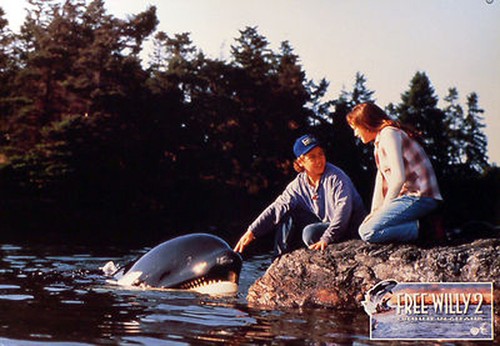 Free willy aushangfoto a3 - 2,