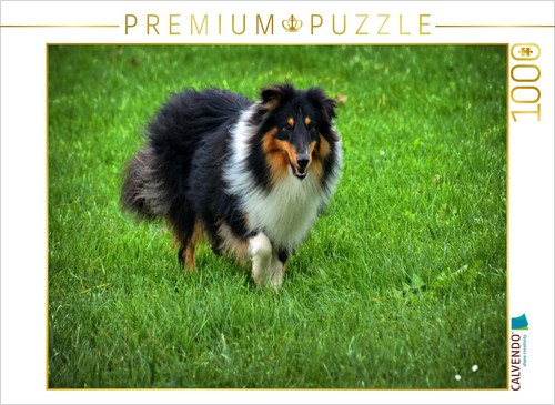 Calvendo puzzle langhaar - calvendo,