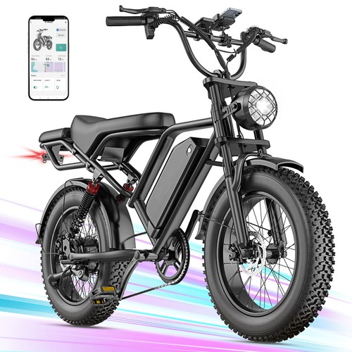 750 offroad bike fatbike 20 - fatbike,