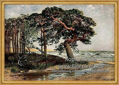 Ostseestrand julius wentscher - ostseestrand,
