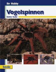 Vogelspinnen ihr hobby von - vogelspinnen,,