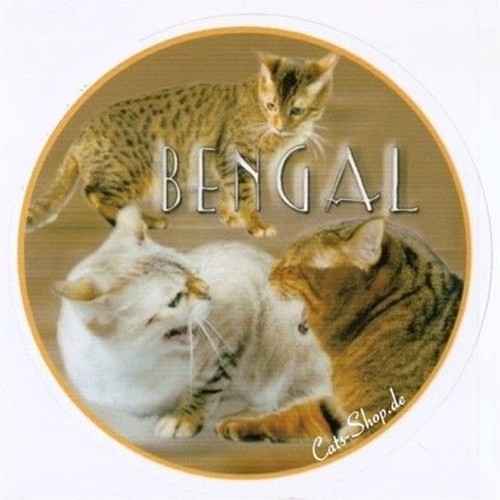 Aufkleber bengalkatze bengal - aufkleber,