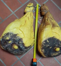 2 Parmaschinken Hinterschinken Lebensmittel-Attrappe