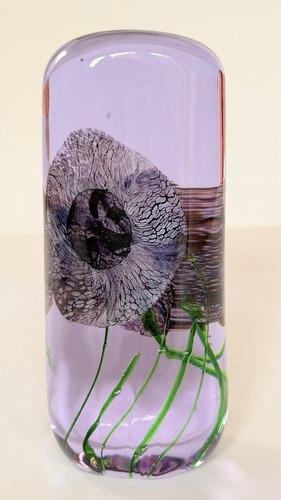 Caithness glas briefbeschwerer - caithness,
