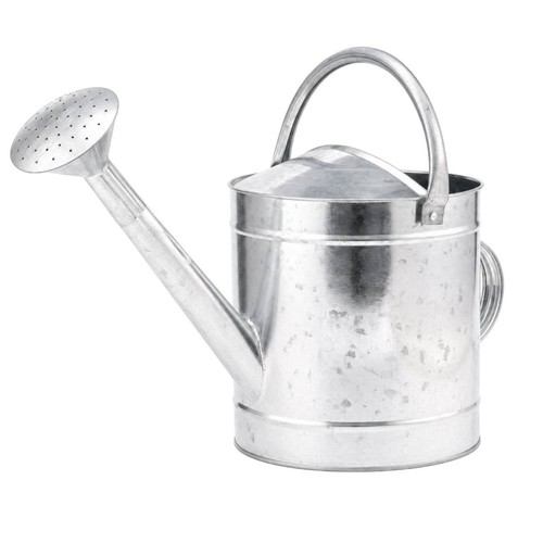 Zinkgießkanne mit brause - zinkgießkanne,