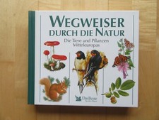 Wunderschönes BUCH mit tollen