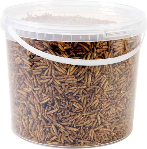Wildvogelfutter wanne 5l - 5l,