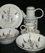 Midwinter England Stonehenge wild Oats Ähren Getreide diverse Teile zur Wahl  