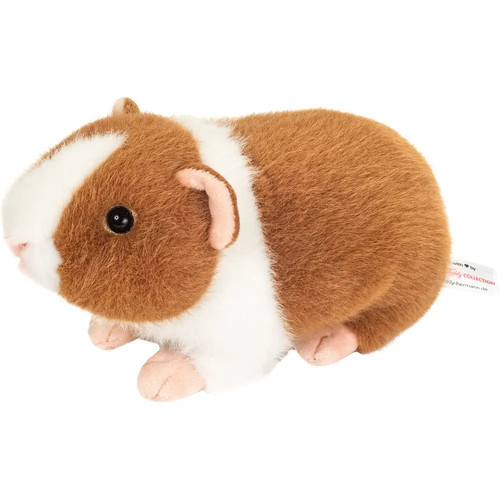 Teddy hermann meerschweinchen - teddy,