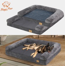 Bingopaw Orthopädisches