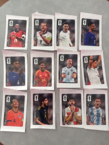 Panini sammelbilder - 12,