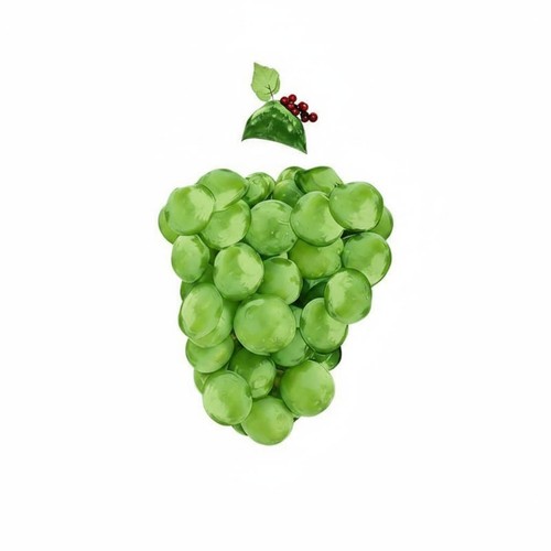 Trauben-Cluster-Kostüm