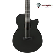 Ibanez AEG1221 12-String