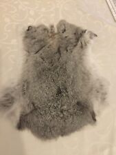 Silbernes Kaninchenfell ca. 30