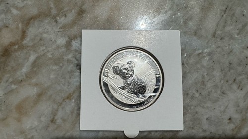 Australian koala 2015 - oz, 999