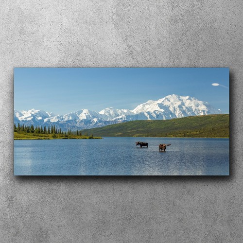 Canvas xxl leinwand bilder - xxl,