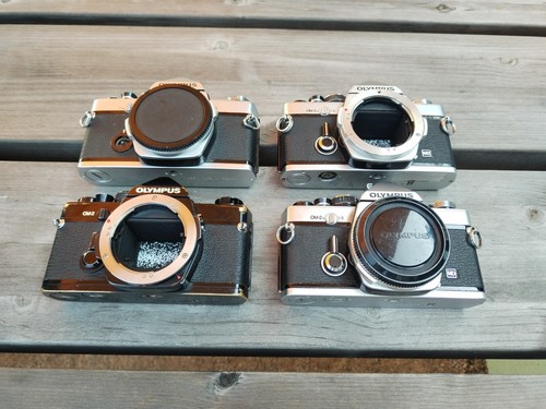 Olympus spiegelreflexkamera - 4x,